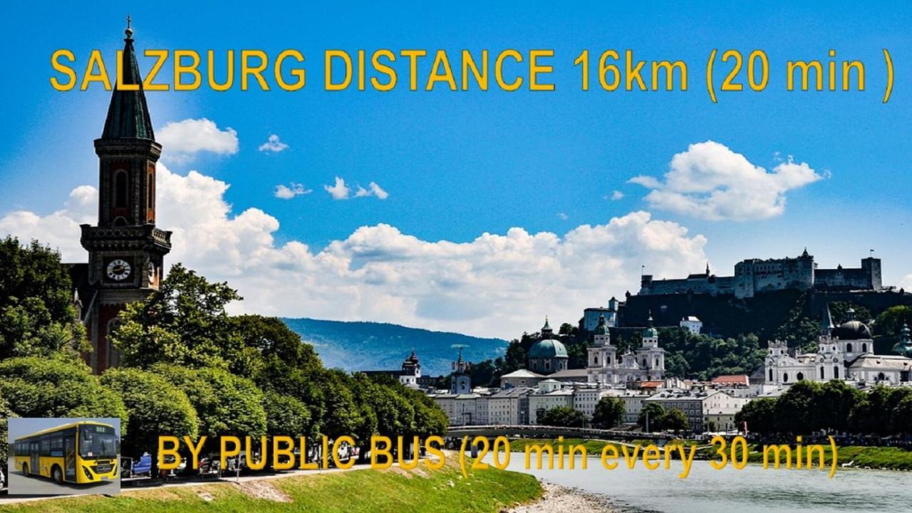 Ferienwohnung Nahe Fuschlsee, Hof Bei Salzburg Exteriér fotografie